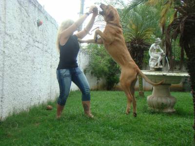 FILA BRASILEIRO - GUARDIO POR EXCELENCIA