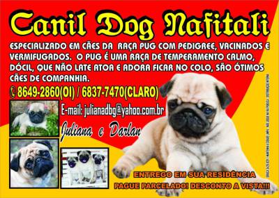 pug a venda