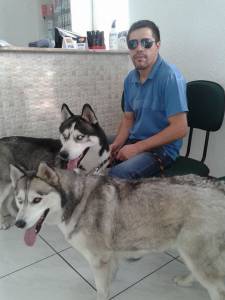 Husky procura Fmea para Relacionamento - SP-SP