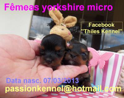 Yorkshire micro fmea II
