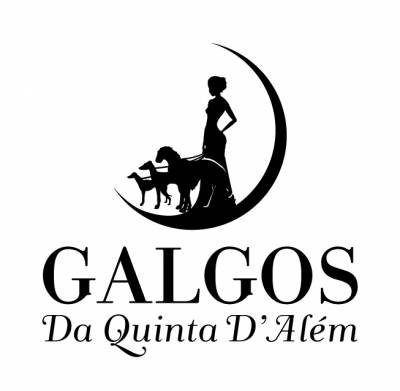 Galguinho Italiano -Galgos Da Quinta D Alm