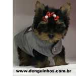 Yorkshire Terrier Filhote de Yorkshire Terrier a venda SP So Paulo So Caetano Do Sul