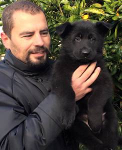 Pastor Alem�o Alt�ssima Qualidade 