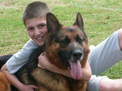 Pastor Alem�o Alt�ssima Qualidade 