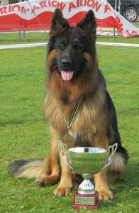 Pastor Alem�o Alt�ssima Qualidade 