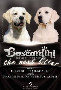 BOSCARDINI CACHORROS