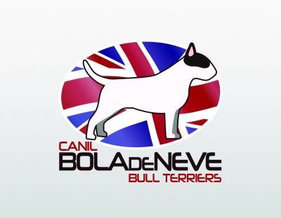 Filhotes de Bull Terrier