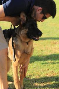 Pastor Alem�o Elevad�ssima Qualidade