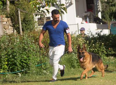 Pastor Alem�o Elevada Qualidade 