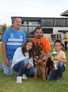 Pastor Alemo Canil com vrios Prmios