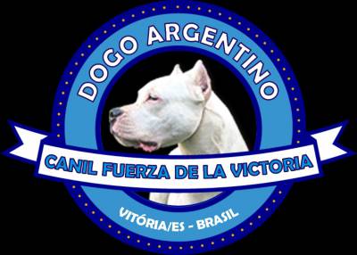 DOGO ARGENTINO