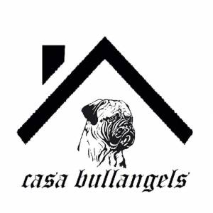 Bullmastiffs Casabullangels ninhada disponvel 