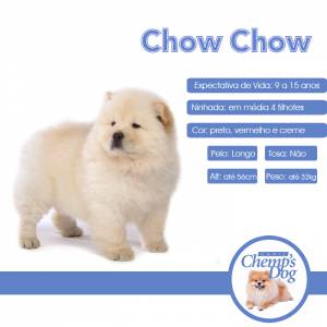 Chowchow