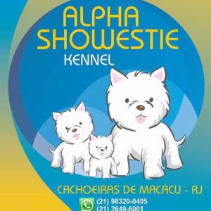 WEST HIGHLAND WHITE TERRIER VENDA