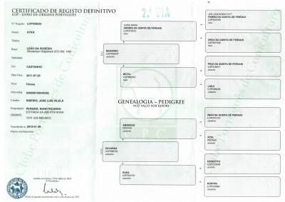 Vendem-se Carrochos de Lees da Rodsia Puros