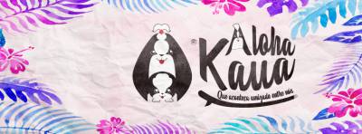 Lindos Filhotes de Shih Tzu Linhagem de Campeões