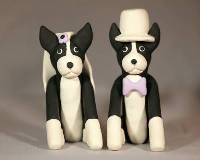 BOSTON TERRIER