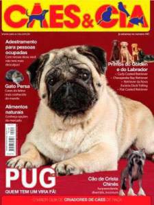 Pug comprar filhotes maravilhosos Enviamos