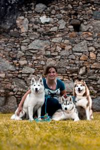 Husky Siberiano - Danielewicz kennel