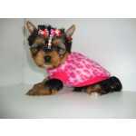 Yorkshire Terrier Yorkshire lindos filhotes Paran Curitiba