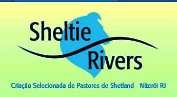 Canil Sheltie Rivers criando pastor de Shetland  com amor e dedicao