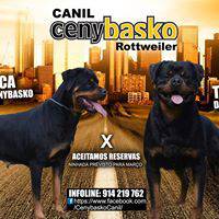 CENYBASKO CANIL