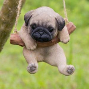 pug - abricot