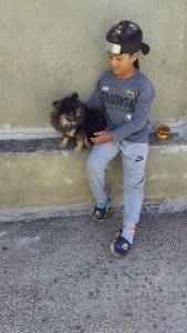 SPITZ MACHOS BLACK END TAM SEIS MESES ACEITO TROCA ENTREGO HOJE CHAMA NO ZAP