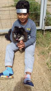 SPITZ MACHOS BLACK END TAM SEIS MESES ACEITO TROCA ENTREGO HOJE CHAMA NO ZAP