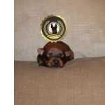 Pinscher Miniatura Pinscher Super Miniatura