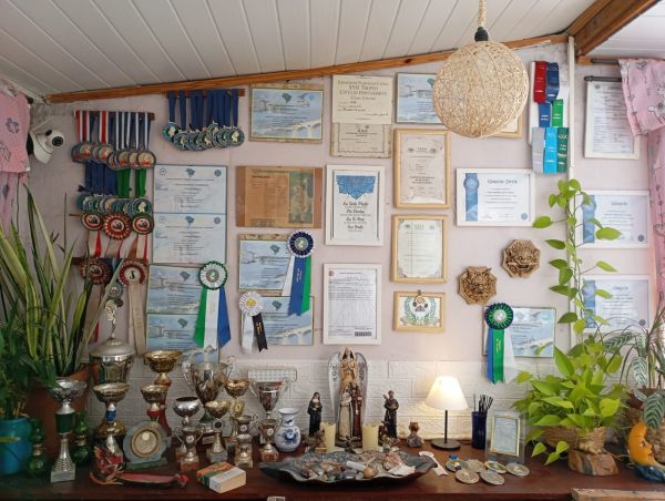 DACHSHUND TECKEL PELO LONGO KANINCHEM FEMEA