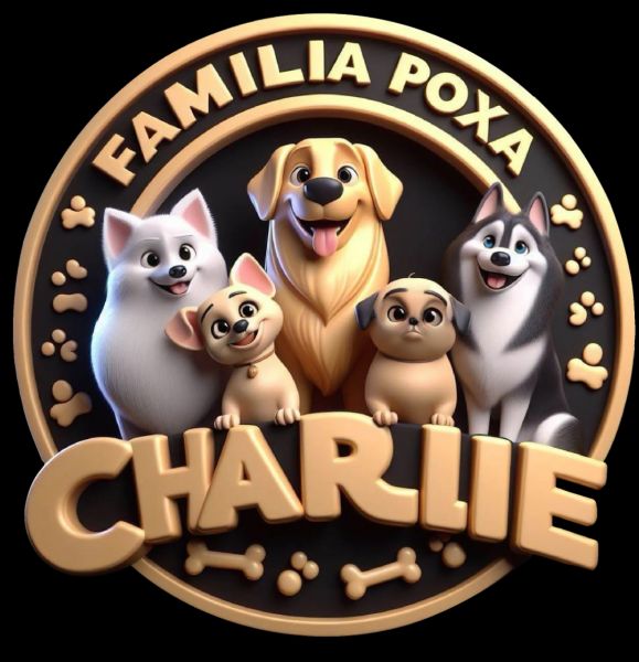 Filhotes de Basset dachshund miniatura