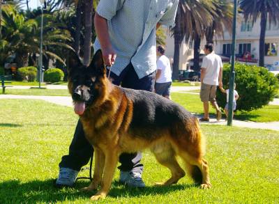 Pastor Alem�o de Topo Mundial 