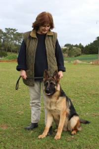 Pastores Alem�es de Topo Mundial 