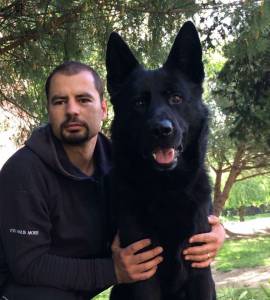 Pastores Alem�es de Topo Mundial 