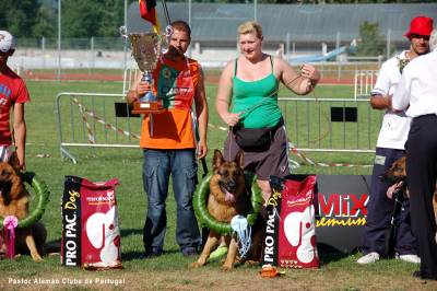 Pastor Alem�o Qualidade Superior 