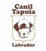 Canil Tapuia
