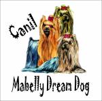 Canil Mabelly Dream Dog