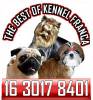 The Best Of Kennel