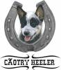 Canil Caotry Heeler