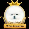 Canil Orion Centurion