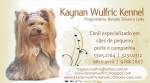 Canil Kaynan Wulfric Kennel