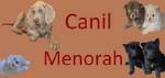 Canil Menorah