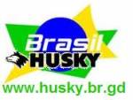 Brasilhusky