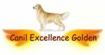 Excellence Golden