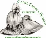 Farina Florim Shih Tzu