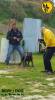 Cane Corso Arenas Da Caparica