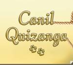 Canil Quizanga
