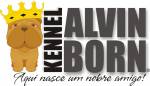 Kennel Alvin Born