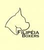 Filipia Boxers